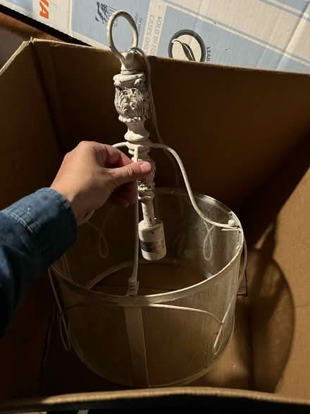 Photo of free 2 hanging lamps (Canton-Sheldon/Ford) #1