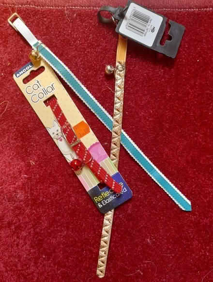 Photo of free 3 cat collars (Kingsway) #1