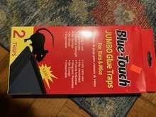 Photo of free Mice/rat glue traps (Riverdale (north of Inwood)) #1