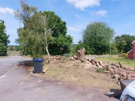 Photo of free Logs, soft and hardwood (Easterton SN10) #3