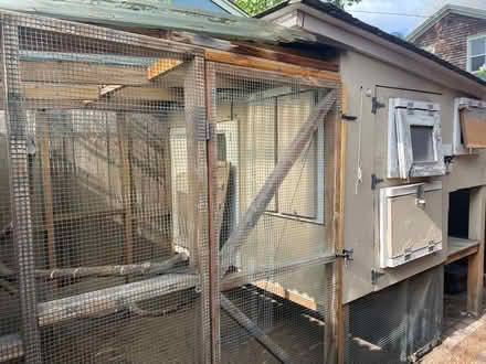 Photo of free Chicken coop (Washington Park) #2