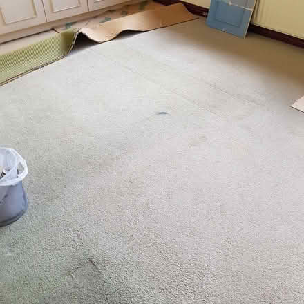 Photo of free Carpet and underlay (Weybourne, Farnham GU9 9) #1