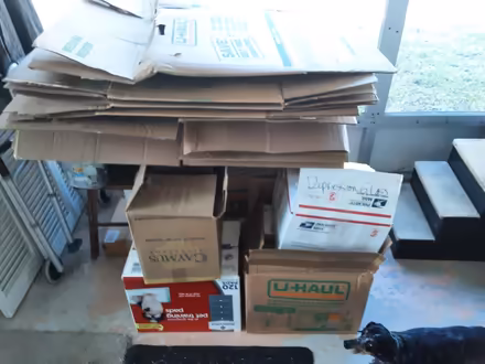 Photo of free Moving Boxes (US19 & Nursery Road) #2