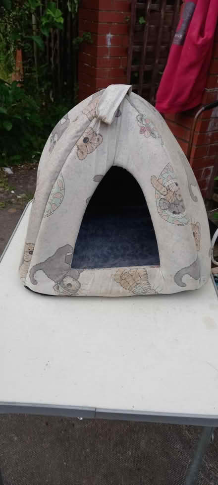 Photo of free Cat Igloo. (Pant SY10) #1