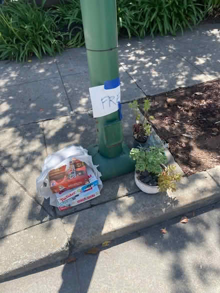 Photo of free Succulents and board games (1546 pearl st alameda ca) #1