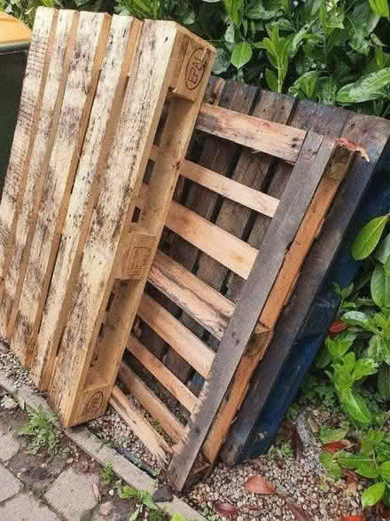 Photo of free Wooden Pallet x3 (E12 Manor park) #3