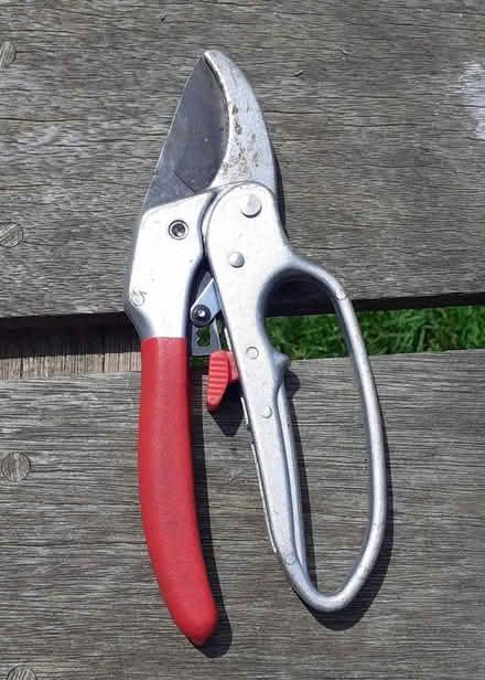 Photo of free Pair of secateurs (Fromefield BA11) #1