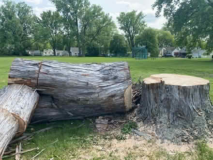 Photo of free wood (South toledo) #1