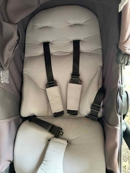 Photo of free 4Moms stroller (villa mira condominiums) #2