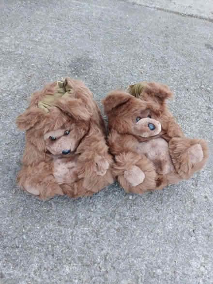 Photo of free Size 38/39 novelty house slippers (Radcliffe M26) #2