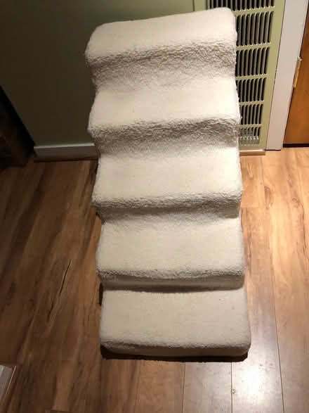 Photo of free Doggie stairs (Capitol Hill) #1