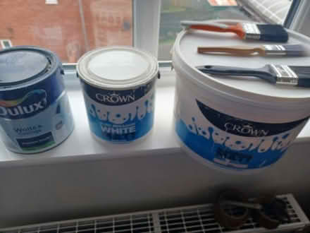 Photo of free Paint and Brushes (Queen's Hills NR8) #1