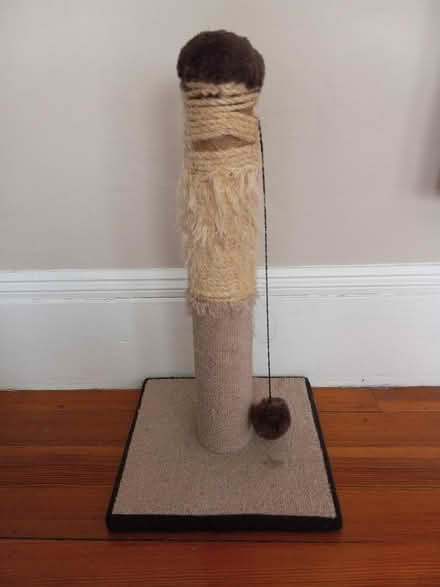 Photo of free Cat Scratching Post (Ball Square) #1