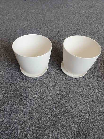 Photo of free White plant pots (Woodlands G3) #1