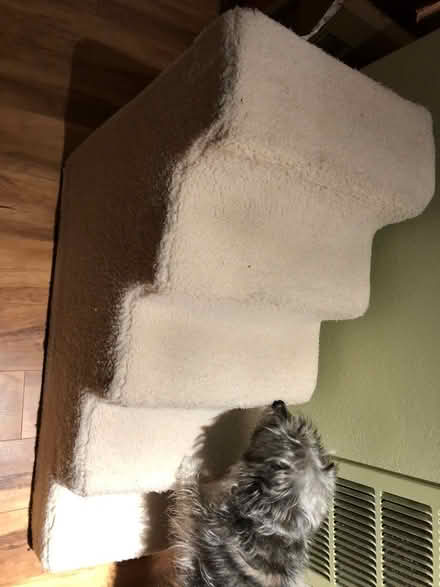 Photo of free Doggie stairs (Capitol Hill) #2