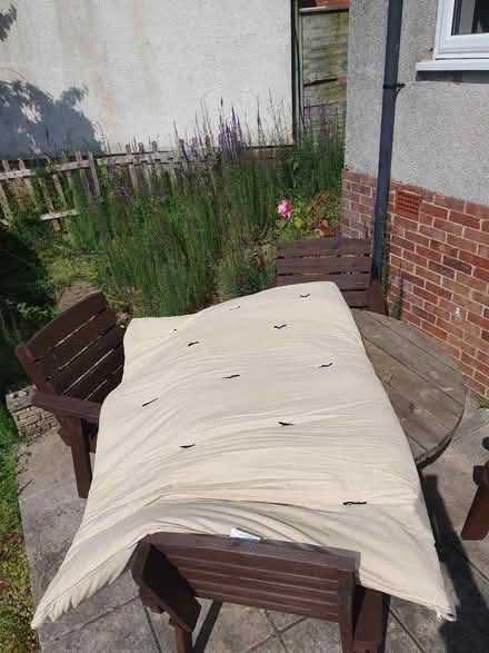 Photo of free Futon Matress (Weston-super-Mare BS23) #1