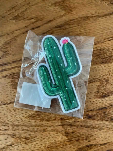 Photo of free Cactus pin (Kingman Park) #2