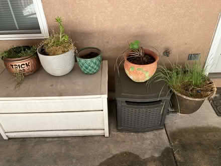 Photo of free Five flower pots (Packer Park, South Philly) #1