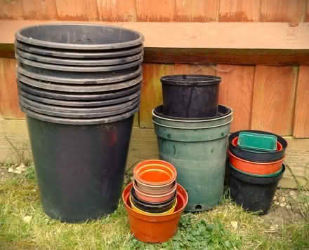 Photo of free Plant Pots. (Grove OX12) #1