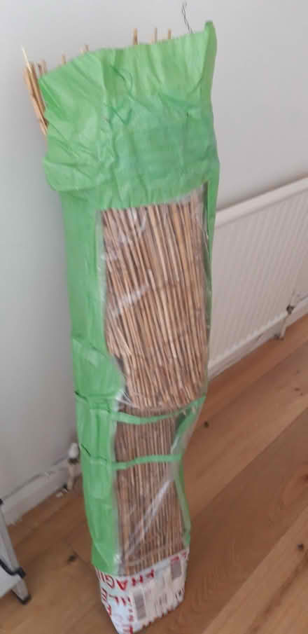 Photo of free Reed screening (St Leonards TN38) #1