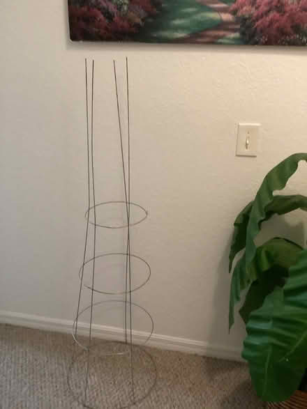 Photo of free Tomato Cage (12th St & IRB, Vero Beach) #1