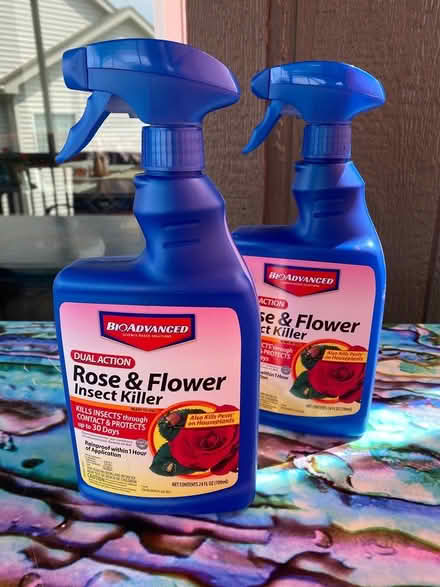 Photo of free Rose & flower insect killer (Northfield Village) #1