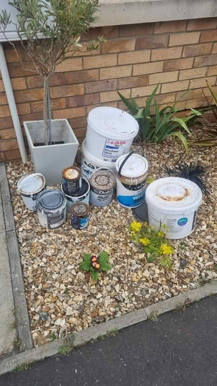 Photo of free paint (Aylsh) #1