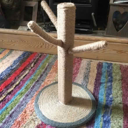 Photo of free Cat scratcher NEW (Penzance TR18) #1