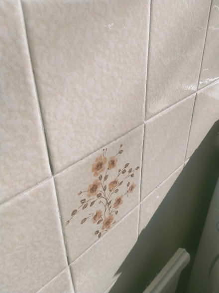 Photo of Wall tiles (Gosport) #2