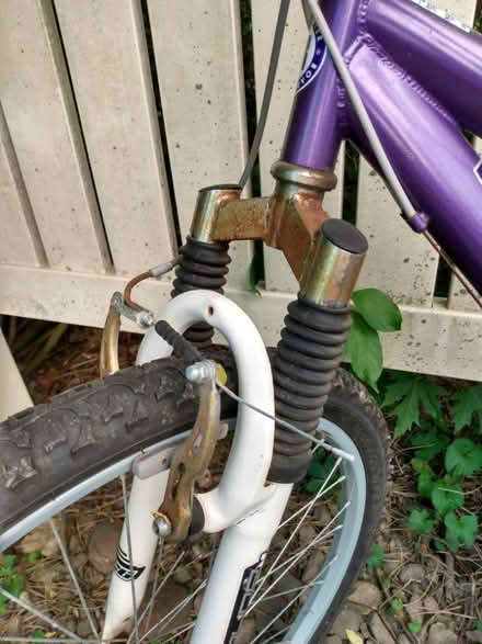 Photo of free Adult bicycle (Northeast Fort Wayne) #4