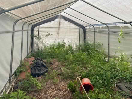 Photo of free Carport 20x10 (01534) #2