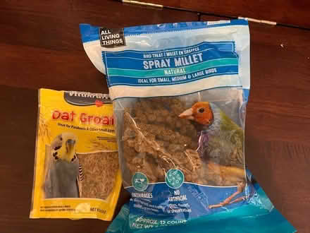 Photo of free Indoor parakeet food (millet / oat) (North Georgetown) #1