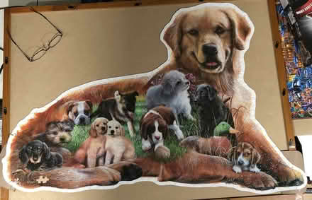 Photo of free Dog Puzzle 4' (West Guelph) #3