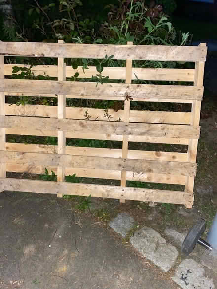 Photo of free 2 wooden pallets (G74) #1