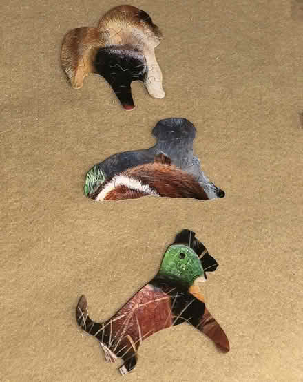 Photo of free Dog Puzzle 4' (West Guelph) #2