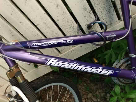 Photo of free Adult bicycle (Northeast Fort Wayne) #2