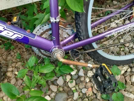 Photo of free Adult bicycle (Northeast Fort Wayne) #3