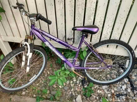 Photo of free Adult bicycle (Northeast Fort Wayne) #1