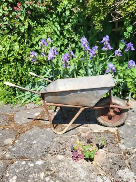 Photo of free Garden tools (Hove, BN3) #2
