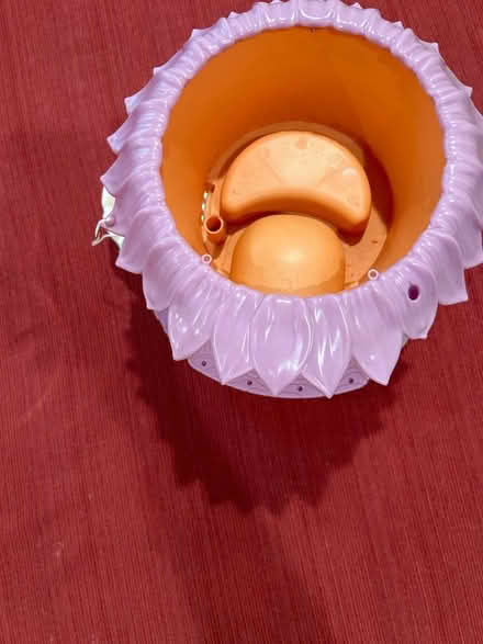 Photo of free Flower pot for kids (Coral Gables) #1