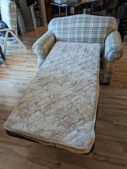 Photo of free Farmhouse Style Sleeper Loveseat (Cedar-Isles-Dean) #3