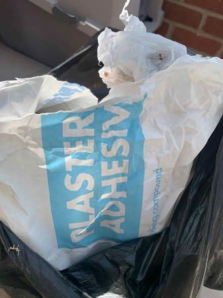 Photo of free Plaster and adhesive (DH2) #1