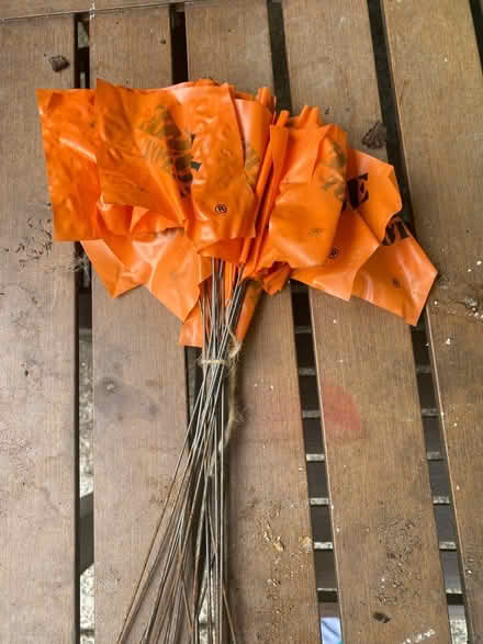 Photo of free Orange Landscape Marker Flags (Tigard) #1