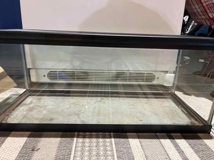 Photo of free 12x12x30 terrarium (Chesterbrook Rd & N Albemarle) #2