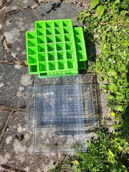 Photo of free Seedling trays (Hove, BN3) #1