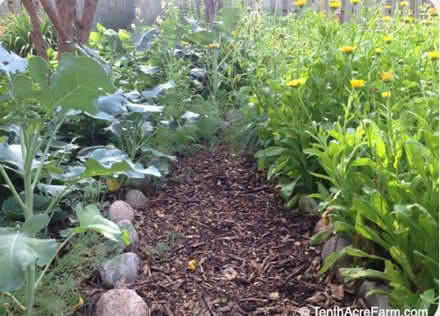 Photo of Wood chips for garden path (Woodside Plaza - Redwood City) #1