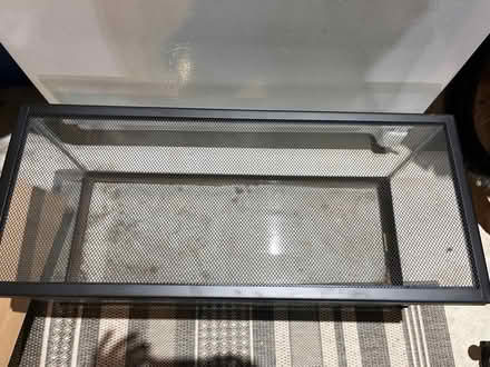 Photo of free 12x12x30 terrarium (Chesterbrook Rd & N Albemarle) #1