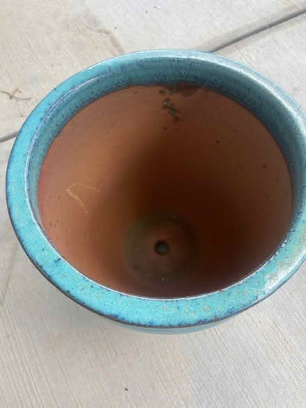 Photo of free Plant pots and plant (Montford / Madison Park area) #2