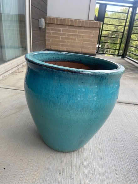 Photo of free Plant pots and plant (Montford / Madison Park area) #1