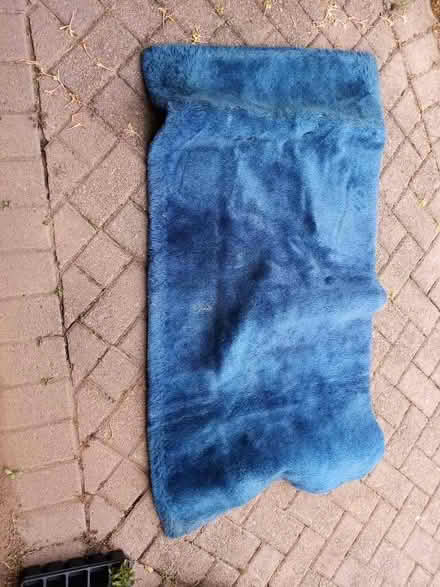 Photo of free Blue Rug (Wylde Green B72) #1